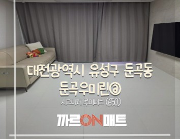 대전광역시 둔곡우미린@//시그니처 루미너스(650)