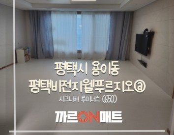 평택시 평택비전지웰푸르지오@//시그니처 루미너스(650)