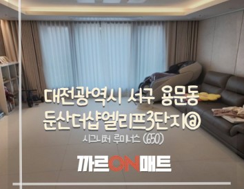 대전광역시 둔산더샵엘리프3단지@//시그니처 루미너스(650)