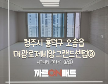 청주시 대광로제비앙그랜드센텀@//시그니처 루미너스(650)