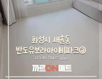 화성시 반도유보라아이비파크@//시그니처 루미너스(650)